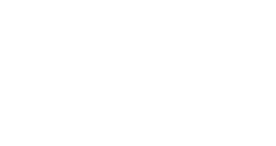 Logo_FL_Brokers_Branco.png